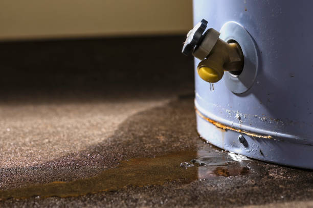 Best Ceiling water damage repair  in Larimore, ND