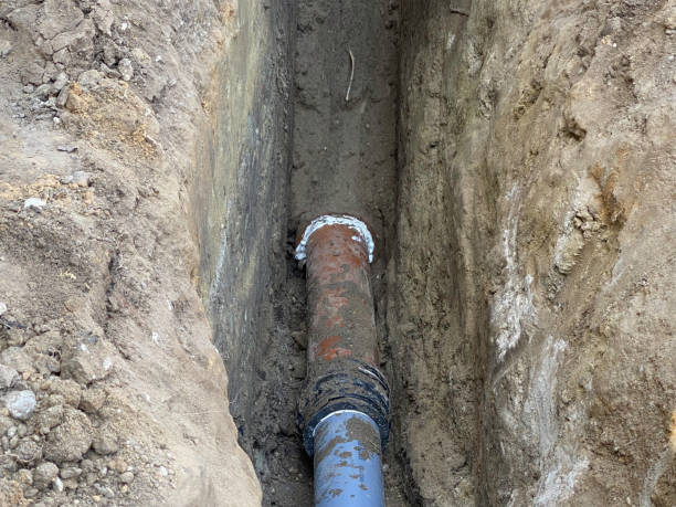 Best Flood damage cleanup  in Larimore, ND
