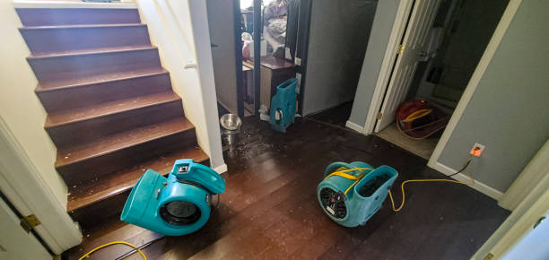Best Professional water damage repair  in Larimore, ND