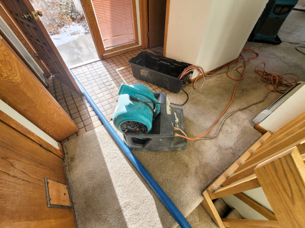 Best 24-hour water damage restoration  in Larimore, ND