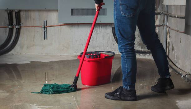 Best Water damage restoration near me  in Larimore, ND