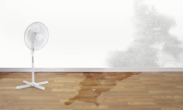 Professional Water damage restoration in ND