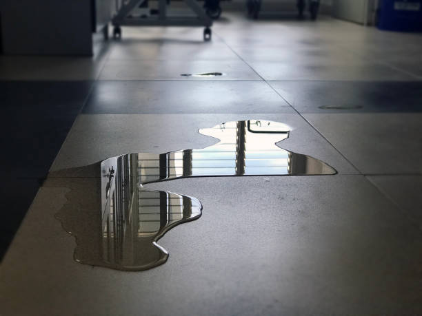 Best 24-hour water damage restoration  in Larimore, ND