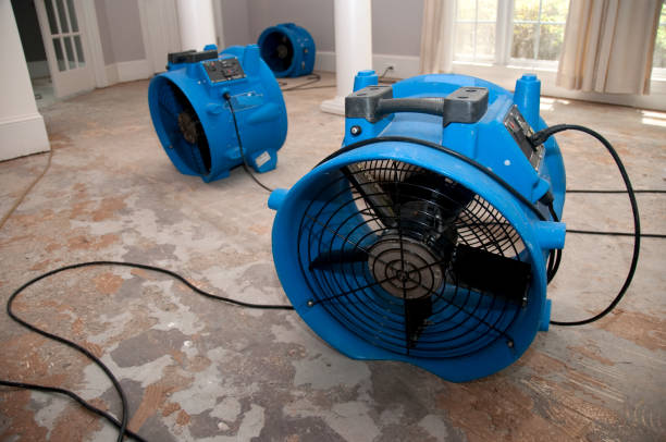 Best Fire Damage Restoration  in Larimore, ND