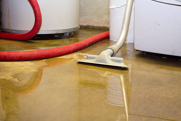 Best Local water damage restoration  in Larimore, ND