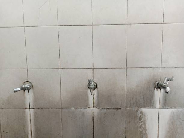 Best Professional water damage repair  in Larimore, ND