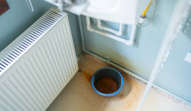 Best Water damage repair service  in Larimore, ND