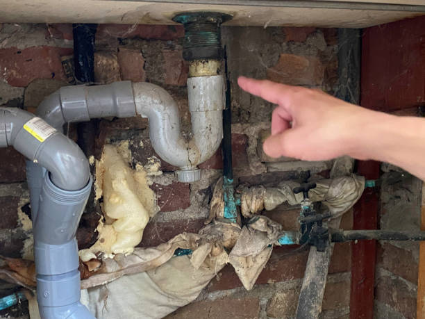 Best 24/7 water damage repair  in Larimore, ND