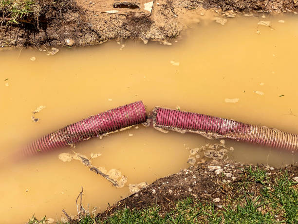 Best Water damage contractors near me  in Larimore, ND