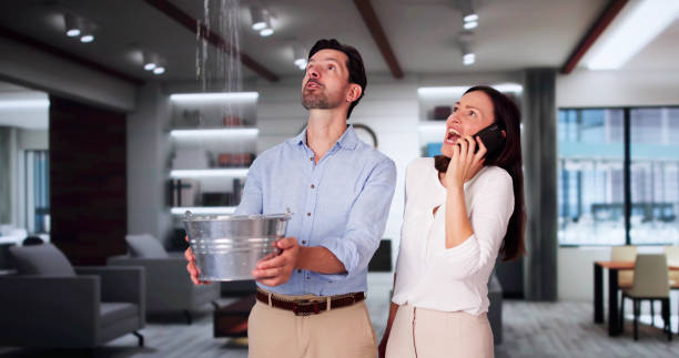 Best Water damage restoration process  in Larimore, ND