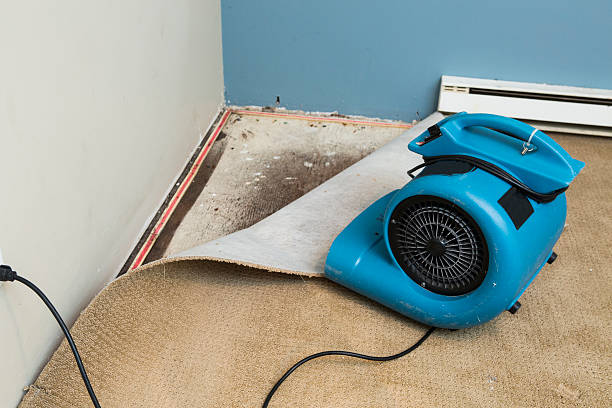 Best 24/7 water damage repair  in Larimore, ND
