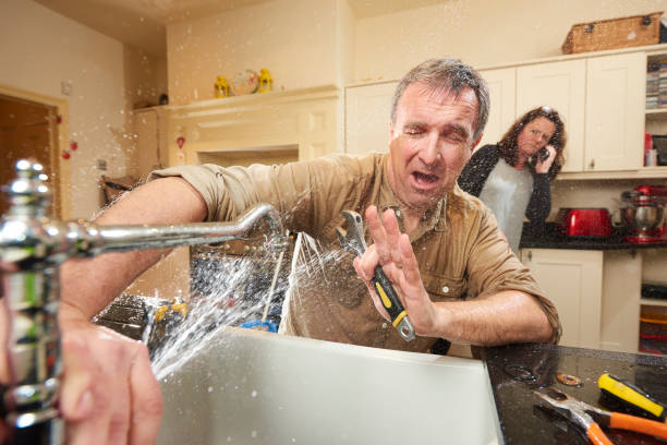 Best Carpet water damage restoration  in Larimore, ND